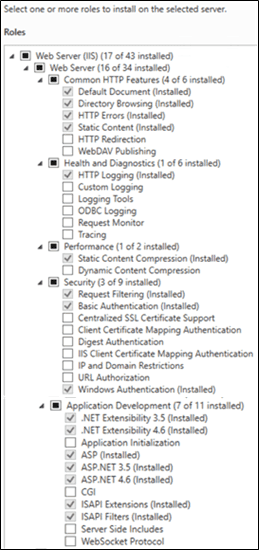 Figure 1222: Web Server (IIS) Configuration