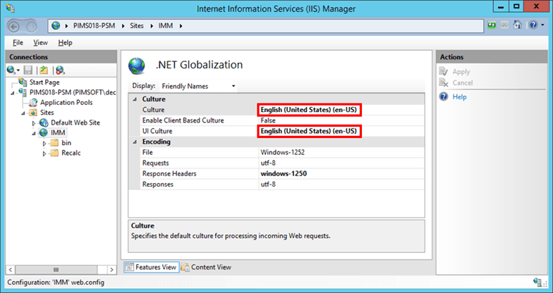 Figure 1571: .NET Globalization settings